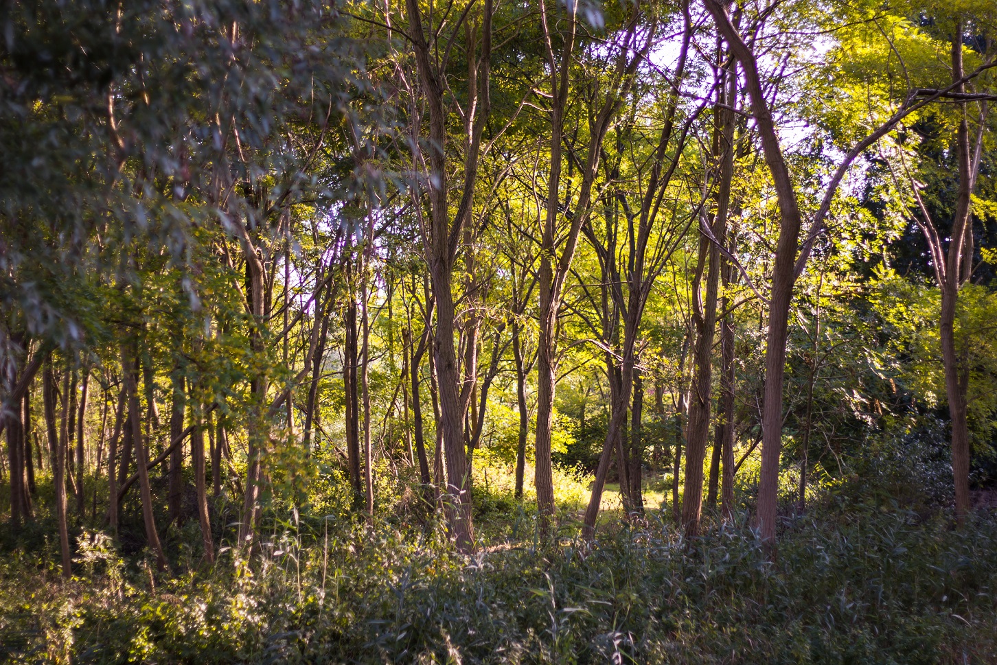 ‘Tevreden blijven’ kan ook simpel zijn