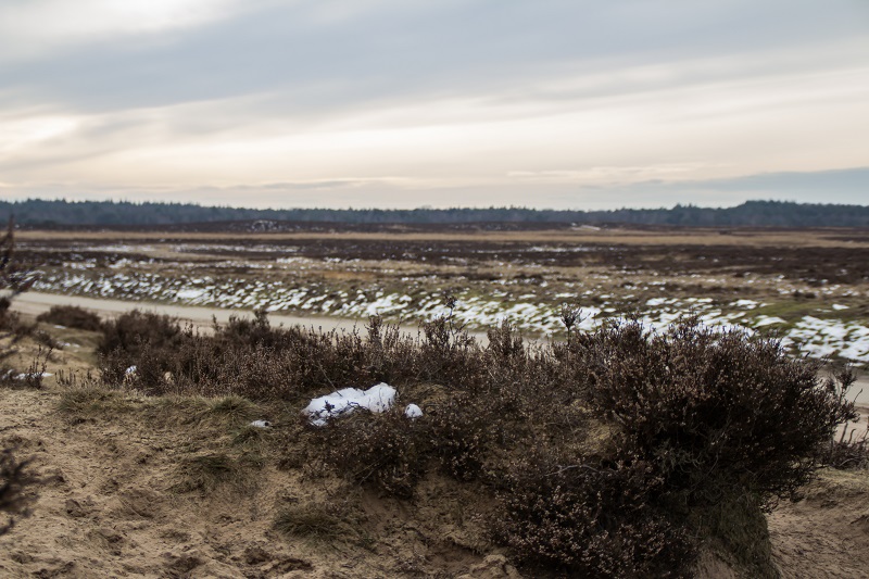 Bijzondere lucht voor begin van de middag bij de Ginkelse Heide, Ede