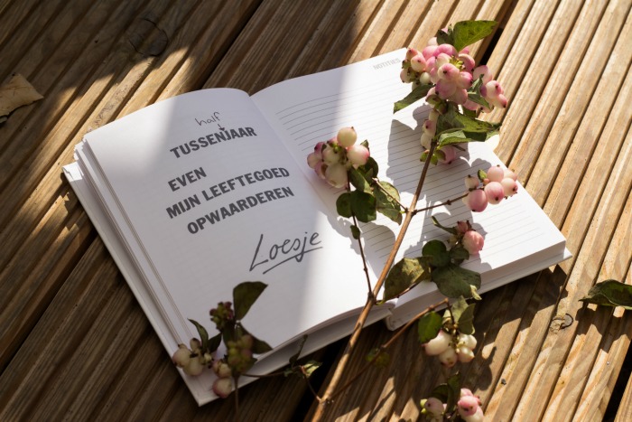 Een tussenhalfjaar en een roman schrijven om kankertaboes te doorbreken