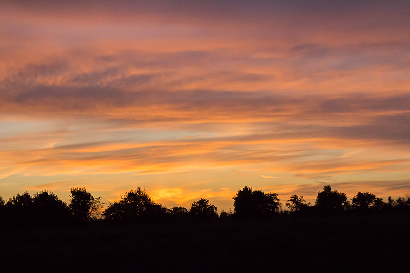 Kanker & dan..? Een maand ‘schoon’