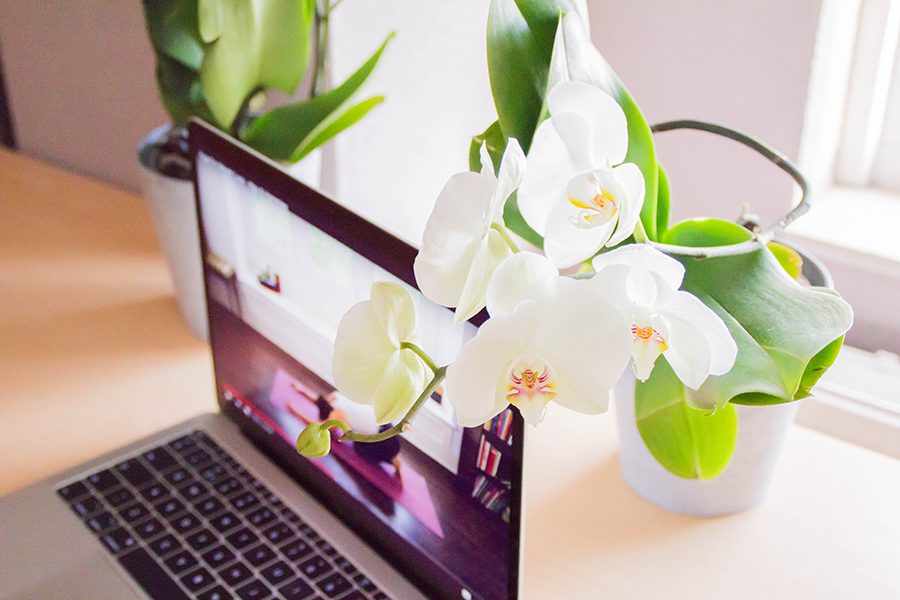 7 Redenen om thuis yoga te beoefenen mét YouTube workouts