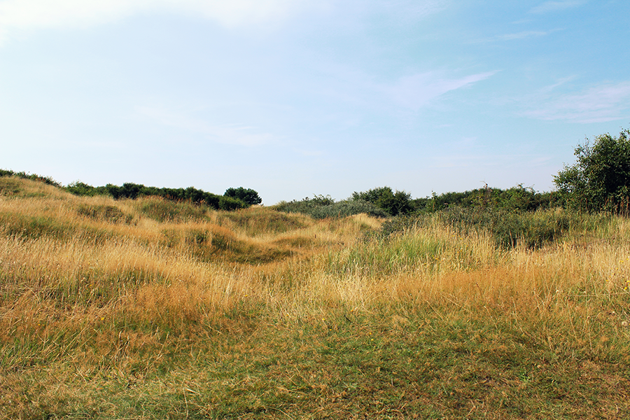 Terug naar mijn basis, zodat ik weer ga genieten!