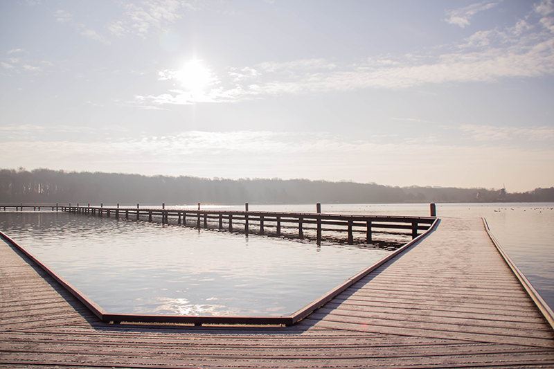 Favoriete plek in Rotterdam: Kralingse Plas – Ja toch, Niet dan!