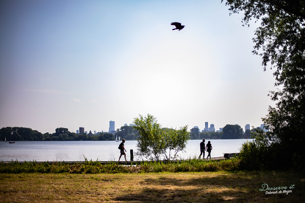 Terug naar mijn thuis in Rotterdam