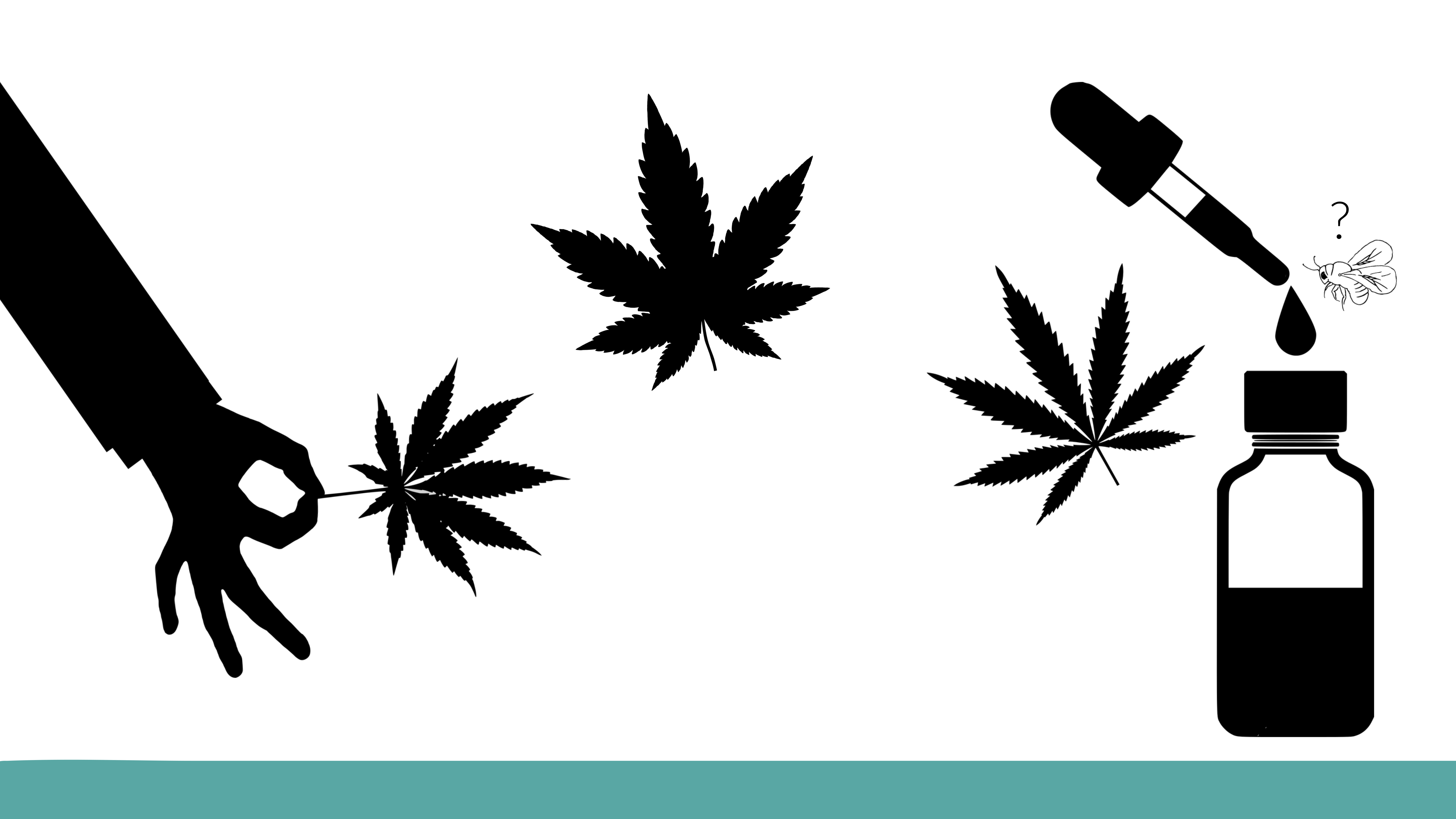 CBD-olie: Een commerciële hype of een wetenschappelijke doorbraak?