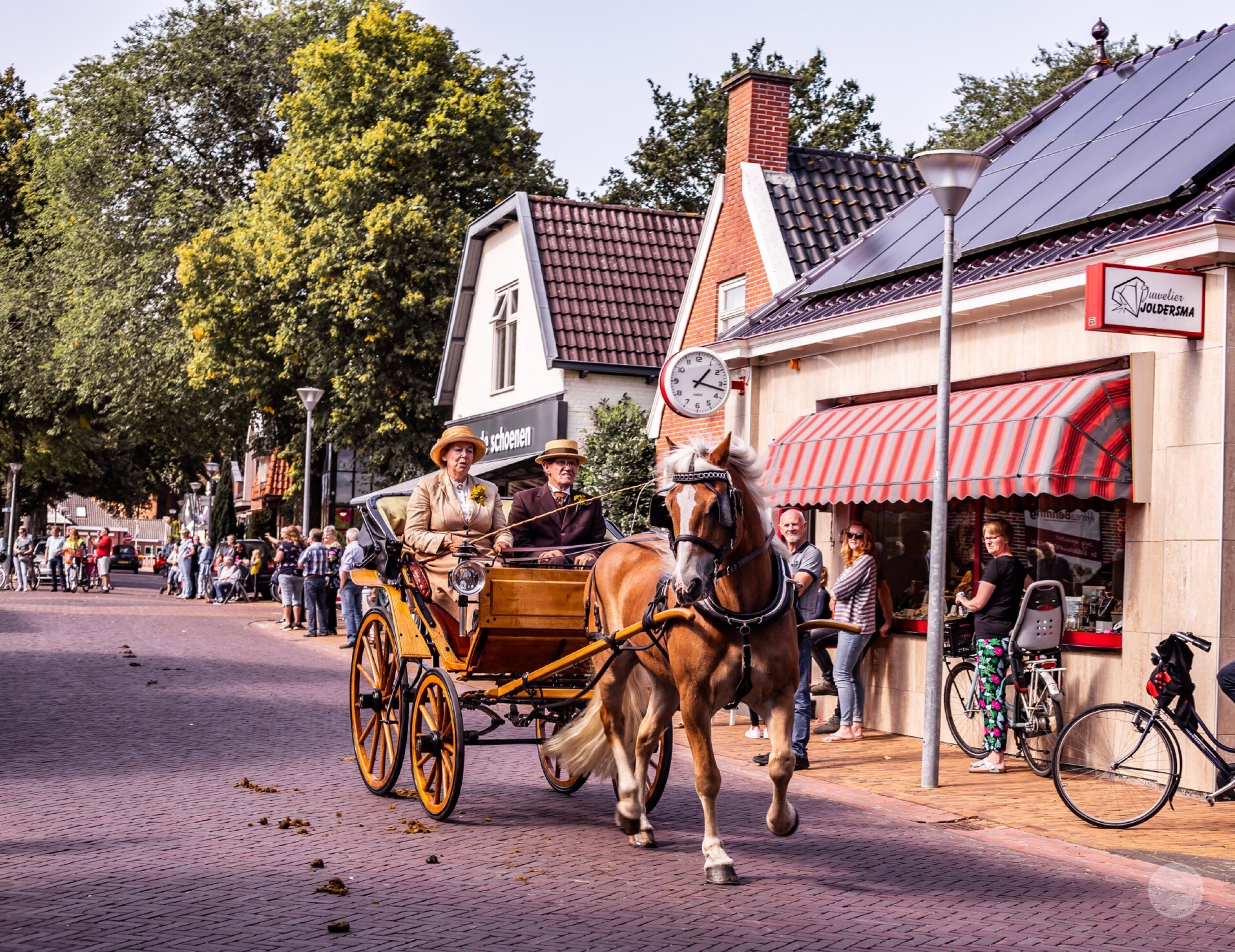Paarden en historische koetsen bij de Fraeylema Koetsentocht 2021 in Midden-Groningen