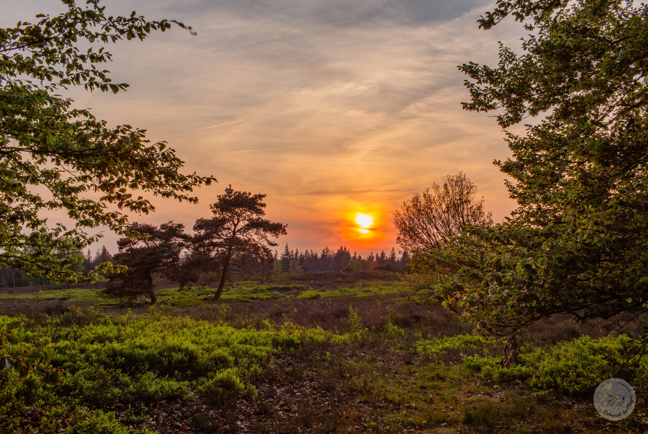 Genieten van de zonsondergang op de Lemelerberg